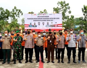 Read more about the article Wakil Bupati Pelalawan Pimpin Apel Siaga Karhutla Tahun 2022 Tingkat Kabupaten Pelalawan