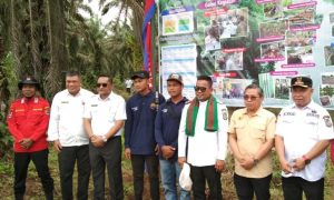 Read more about the article Wamen Lingkungan Hidup dan Kehutanan RI Lakukan Kunjungan Kerja ke Kabupaten Pelalawan