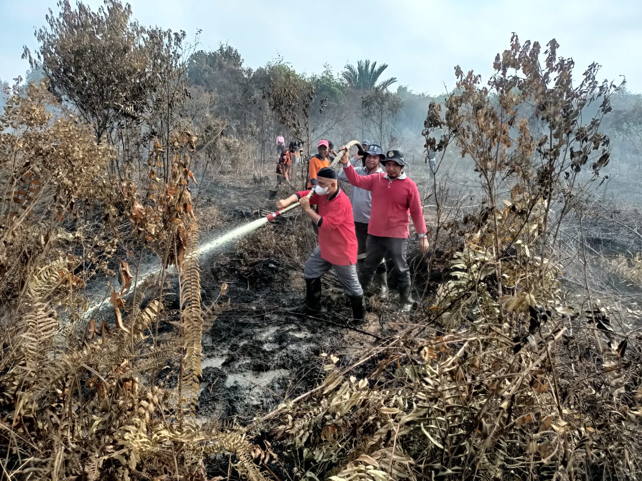 You are currently viewing Camat Kuala Kampar Ikut Berjibaku Padamkan Karhutla di Desa Teluk